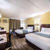 Отель Econo Lodge Mayo Clinic Area, фото 5
