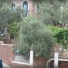 Отель Levantin Inn 13 Room N10 в Свети-Стефане