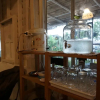 Отель Koonchalearn Backpackers - Adults Only, фото 12