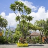 Отель Van Santri Homestay Pemuteran, фото 31