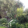 Отель Jade Owl Bed and Breakfast, фото 15