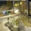 Отель Hot water of the natural hot spring Nusamai La Vista Kushiro River (Dormy Inn chain), фото 1