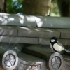 Отель Atelier Bee's Knees Bed & Breakfast, фото 15