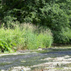 Отель Well Kept Gite, Short Distance From the River and Forest, фото 17