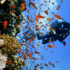 Отель TradeWinds Exumas, Great Exuma, Bahamas, фото 12