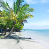 Отель Coconut Bungalows Star Fish Beach, фото 17