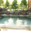Отель Kogen Hotel Taizan, фото 4