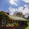 Отель Posada de Don Rodrigo Panajachel, фото 9