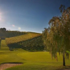 Отель Wine Grower's Mansion Zlati Gric, фото 35