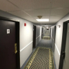 Отель M Star Hotel Little Rock, фото 2