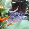 Отель House With 2 Bedrooms in Sainte-rose, With Shared Pool, Enclosed Garden and Wifi - 3 km From the Bea, фото 8