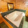 Отель Log Cabin Lodge & Suites, фото 9