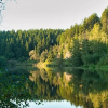 Отель Find With Nr 509 Your Holiday Home in the Harz Mountains, фото 18