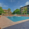 Отель Condo w/ 2 Balconies - Across From Myrtle Beach!, фото 14