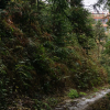 Отель Tianranju Inn Longsheng, фото 30