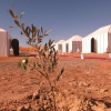 Отель Mirage Luxury Camp, фото 12