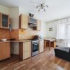 Гостиница Apartment ALLiS-HALL on Radishcheva 33, фото 4