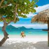 Отель Sandals Grande St. Lucian - ALL INCLUSIVE Couples Only, фото 17
