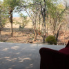 Отель Warthogs Safari Camp, фото 19