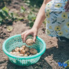 Отель Anji Yieryi. Coco Garden Homestay, фото 7