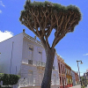 Отель Apartamento Belén, фото 1