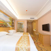 Отель Vienna Hotel Guangzhou Jinjiang Avenue Branch, фото 4