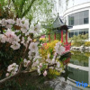 Отель Yizhengyuan Hotel, фото 12