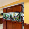 Отель Quality Inn & Suites Galveston - Beachfront, фото 12