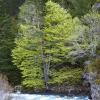 Отель Refugio de Bujaruelo, фото 13