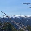 Отель Feathertop Alpine Lodge, фото 28