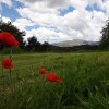 Отель La Bastide des Pins, фото 15