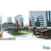 Отель Hanting Hotel, фото 22
