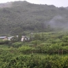 Отель Yeheng Terrace Homestay, фото 10