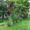 Отель Villa David, фото 44