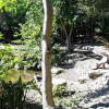 Отель Casa Sol Playa del Carmen / Villas with swimming pool close to the beach, фото 39