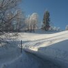 Отель Bauernhof Voischl - Graspointner, фото 16