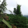 Отель Forest Guesthouse, фото 18