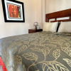 Отель Del Bosque TJ Inn, фото 6