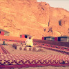 Отель Wadi rum open view camp, фото 20