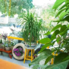 Отель Homestay Lan Anh 3, фото 13