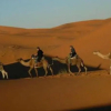 Отель Bivouac Camel Trips, фото 3