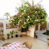 Отель Lanavilla Muscat, фото 3