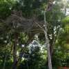 Отель D3 Weligama, фото 15