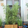 Отель Xiyuan Mingyuan Courtyard (Beijing Chongwenmen), фото 4