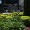 Отель Holiday Inn Express Mountain View, фото 14