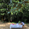 Отель Buena Onda Jungle Lodge, фото 10