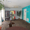 Отель Motel 6 Fort Bragg, CA, фото 20