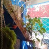 Отель Harvie Paradise, фото 14