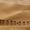 Отель Bivouac La Dune Blanche, фото 13