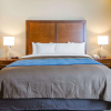 Отель Comfort Inn & Suites Lynchburg Airport - University Area, фото 3